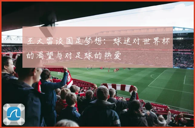 王大雷谈国足梦想：球迷对世界杯的渴望与对足球的热爱